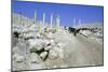 Ruins of the Ancient City of Pella, Jordan-Vivienne Sharp-Mounted Photographic Print