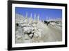 Ruins of the Ancient City of Pella, Jordan-Vivienne Sharp-Framed Photographic Print