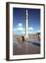 Ruins of the Apadana, Persepolis, Iran-Vivienne Sharp-Framed Photographic Print