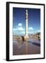 Ruins of the Apadana, Persepolis, Iran-Vivienne Sharp-Framed Photographic Print