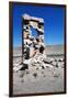 Ruins of the Archaeological Site of Pasargad-null-Framed Photographic Print