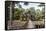 Ruins of the Chau Say Tevoda Temple, Angkor, UNESCO World Heritage Site, Cambodia, Indochina-Yadid Levy-Framed Stretched Canvas