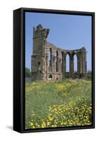 Ruins of the Church of St George of the Latins, Famagusta, North Cyprus, 2001-Vivienne Sharp-Framed Stretched Canvas