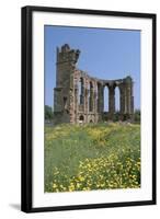 Ruins of the Church of St George of the Latins, Famagusta, North Cyprus, 2001-Vivienne Sharp-Framed Photographic Print