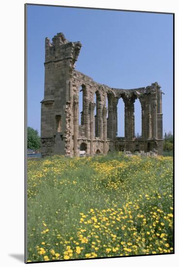 Ruins of the Church of St George of the Latins, Famagusta, North Cyprus, 2001-Vivienne Sharp-Mounted Photographic Print