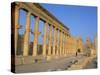 Ruins of the Colonnade, Palmyra, Unesco World Heritage Site, Syria, Middle East-Alison Wright-Stretched Canvas