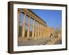 Ruins of the Colonnade, Palmyra, Unesco World Heritage Site, Syria, Middle East-Alison Wright-Framed Photographic Print