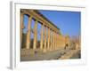 Ruins of the Colonnade, Palmyra, Unesco World Heritage Site, Syria, Middle East-Alison Wright-Framed Photographic Print