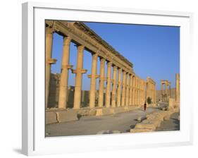 Ruins of the Colonnade, Palmyra, Unesco World Heritage Site, Syria, Middle East-Alison Wright-Framed Photographic Print