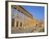 Ruins of the Colonnade, Palmyra, Unesco World Heritage Site, Syria, Middle East-Alison Wright-Framed Photographic Print