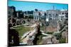 Ruins of the Forum, Rome with the House of the Vestals on the Left-null-Mounted Photographic Print