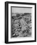 'Ruins of the Great Temple of the Mysteries at Eleusis', 1913-Unknown-Framed Giclee Print