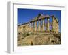 Ruins of the Greek Temples at Selinunte on the Island of Sicily, Italy, Europe-Newton Michael-Framed Photographic Print