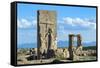 Ruins of the Hadish Palace, Persepolis, Fars Province, Islamic Republic of Iran, Middle East-G&M Therin-Weise-Framed Stretched Canvas