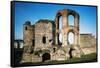 Ruins of the Imperial Baths in Trier, Germany-null-Framed Stretched Canvas