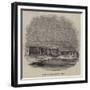 Ruins of the Palace of Luxor-null-Framed Giclee Print