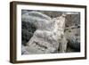 Ruins of the Prehistoric Greek City of Mycenae-null-Framed Photographic Print