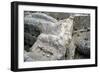 Ruins of the Prehistoric Greek City of Mycenae-null-Framed Photographic Print