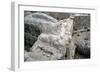 Ruins of the Prehistoric Greek City of Mycenae-null-Framed Photographic Print