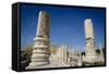 Ruins of the Roman-Byzantine City of Scythopolis-Yadid Levy-Framed Stretched Canvas