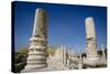 Ruins of the Roman-Byzantine City of Scythopolis-Yadid Levy-Stretched Canvas