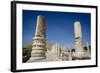 Ruins of the Roman-Byzantine City of Scythopolis-Yadid Levy-Framed Photographic Print