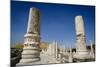 Ruins of the Roman-Byzantine City of Scythopolis-Yadid Levy-Mounted Photographic Print