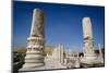 Ruins of the Roman-Byzantine City of Scythopolis-Yadid Levy-Mounted Photographic Print