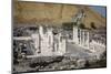 Ruins of the Roman-Byzantine City of Scythopolis-Yadid Levy-Mounted Photographic Print