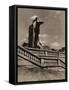 Ruins of the Royal Castle, Warsaw, C1945-null-Framed Stretched Canvas