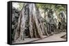 Ruins of the Ta Prohm Temple, Angkor, UNESCO World Heritage Site, Cambodia, Indochina-Yadid Levy-Framed Stretched Canvas