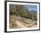 Ruins of the Temple of Apollo, with Hills in the Background, at Delphi, Greece-Ken Gillham-Framed Photographic Print