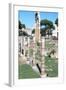 Ruins of the Temple of Castor and Pollux, the Forum, Rome-null-Framed Photographic Print