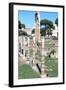 Ruins of the Temple of Castor and Pollux, the Forum, Rome-null-Framed Photographic Print