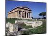 Ruins of the Temple of Neptune-Marco Cristofori-Mounted Photographic Print