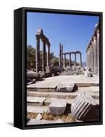 Ruins of the Temple of Zeus, Archaeological Site, Euromos, Near Bodrum, Anatolia, Turkey-R H Productions-Framed Stretched Canvas
