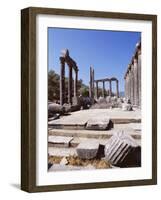 Ruins of the Temple of Zeus, Archaeological Site, Euromos, Near Bodrum, Anatolia, Turkey-R H Productions-Framed Photographic Print