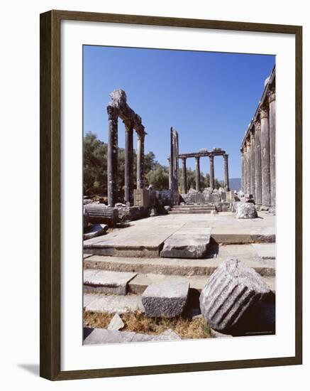 Ruins of the Temple of Zeus, Archaeological Site, Euromos, Near Bodrum, Anatolia, Turkey-R H Productions-Framed Photographic Print