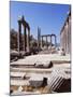 Ruins of the Temple of Zeus, Archaeological Site, Euromos, Near Bodrum, Anatolia, Turkey-R H Productions-Mounted Photographic Print