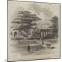 Ruins of the Titian Gallery, Blenheim Palace, Viewed from the Garden-null-Mounted Giclee Print
