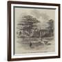 Ruins of the Titian Gallery, Blenheim Palace, Viewed from the Garden-null-Framed Giclee Print