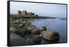 Ruins of Toolse Castle-null-Framed Stretched Canvas