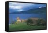 Ruins of Urquhart Castle on the Banks of Loch Ness, Drumnadrochit, Scotland, Uk-null-Framed Stretched Canvas