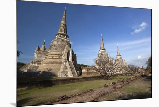 Ruins of Wat Phra Sri Sanphet-Stuart Black-Mounted Photographic Print