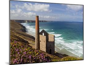 Ruins of Wheal Coates Tin Mine Engine House, Near St Agnes, Cornwall, England-Stuart Black-Mounted Photographic Print