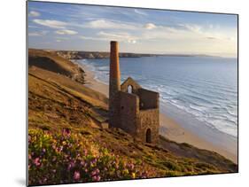 Ruins of Wheal Coates Tin Mine Engine House, Near St Agnes, Cornwall, England-Stuart Black-Mounted Photographic Print