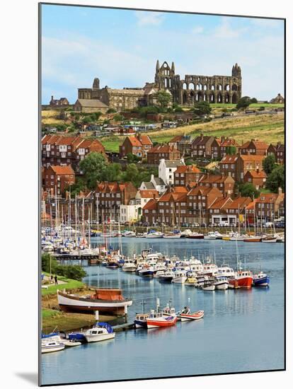 Ruins of Whitby Abbey Above Whitby on North Yorkshire Coast in Northern England, United Kingdom-Miva Stock-Mounted Premium Photographic Print
