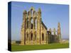Ruins of Whitby Abbey in North Yorkshire-Paul Thompson-Stretched Canvas