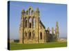 Ruins of Whitby Abbey in North Yorkshire-Paul Thompson-Stretched Canvas