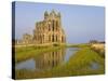 Ruins of Whitby Abbey in North Yorkshire-Paul Thompson-Stretched Canvas